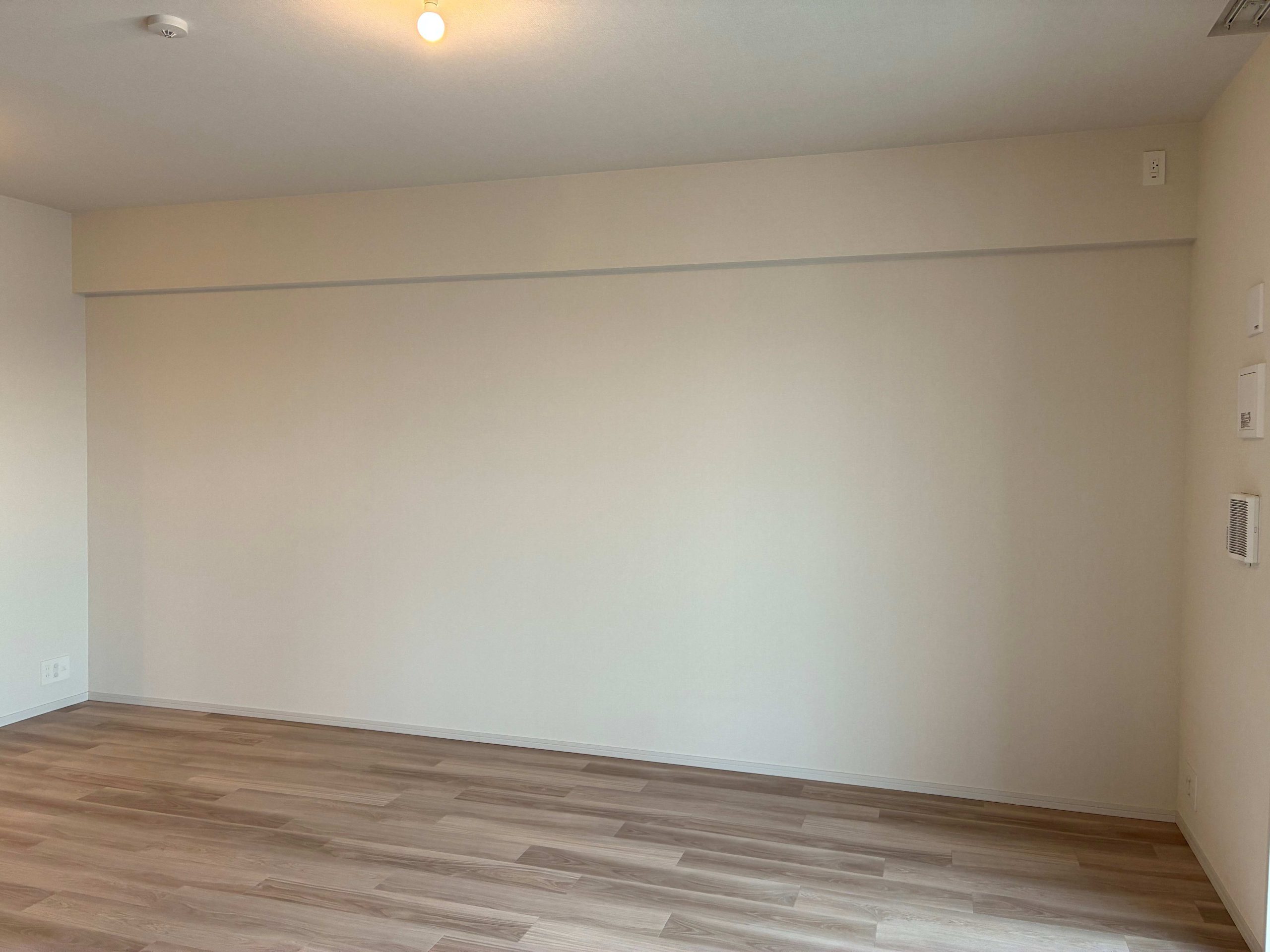 Before_画像（1）